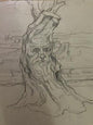 emanuel schary sketch a tree’s wisdom (1982)